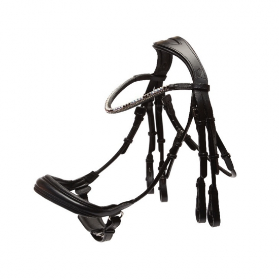 Horse Bridle